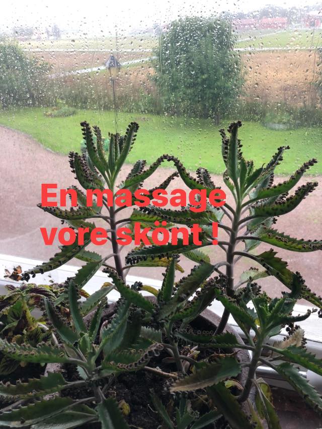 Muskelvärkstan